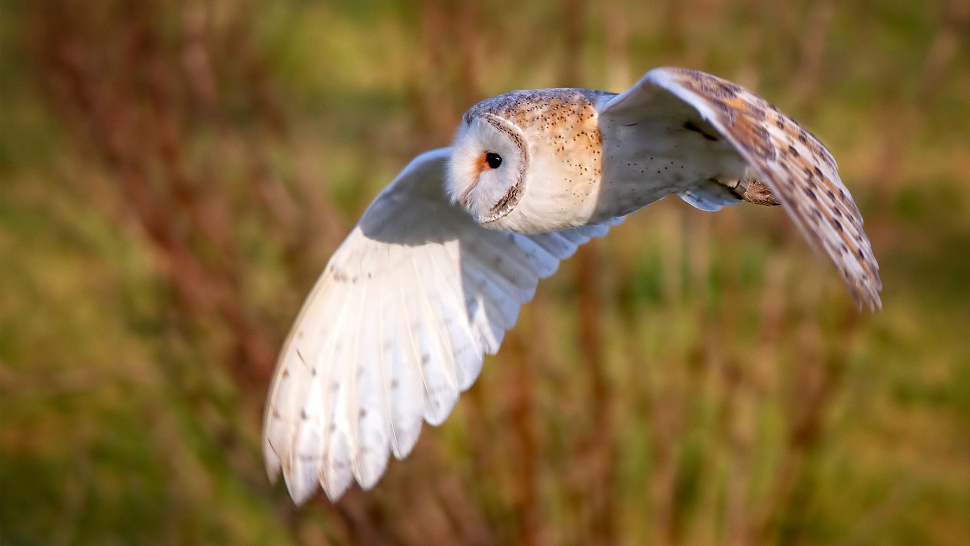 沙特与曼城的光影协奏，那些被重新丈量的胜利距离